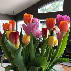 Meet your Posher, Janice